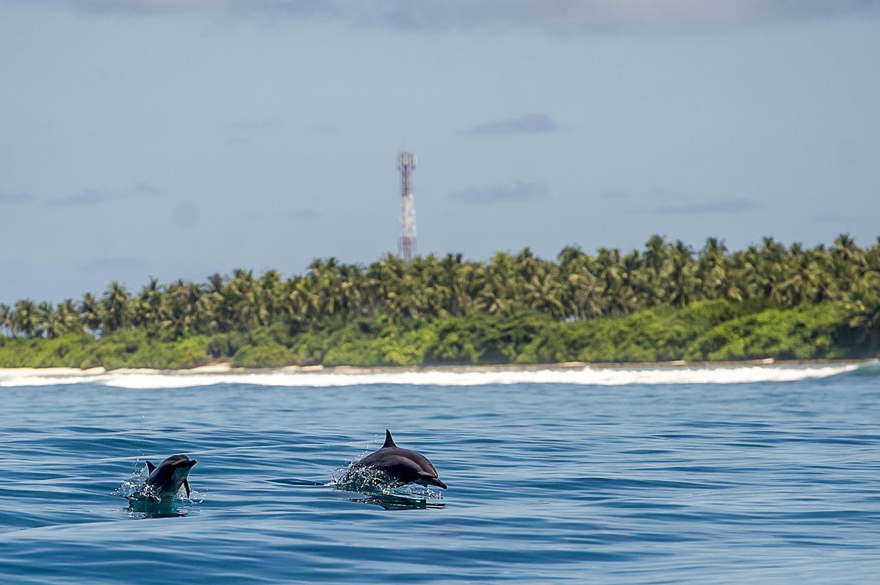 Detour Beach View Hangnaameedhoo Exterior foto